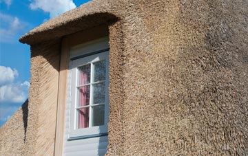 Southay thatch roof disadvantages